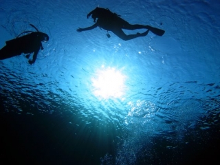  diving in a half moon 